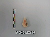 藏品(帶鋌打製石鏃)的圖片